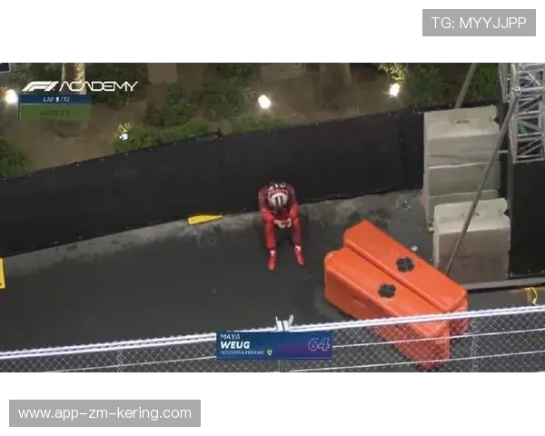 F1本季最混乱一战！退赛、爆胎、撞翼集体上演